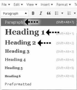 Page and Post Edit Text Sizes