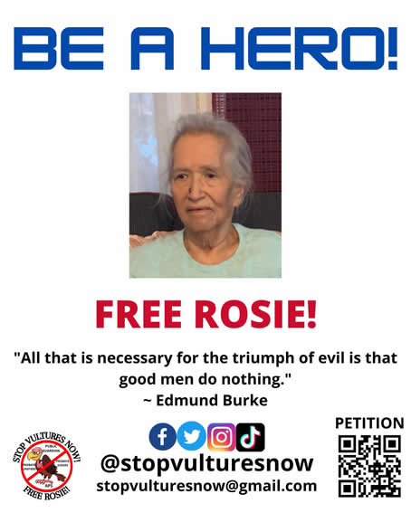 help free Rosie Sifuentez Fresno county California court victim abused by the county and state