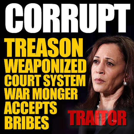 Court Victim Corrupt Vice President Kamala Harris