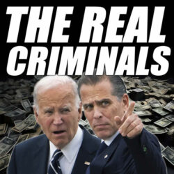 The real criminals, biden, hunter, harris and the democratic party